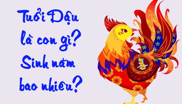 Tuổi Dậu Là Con Gì Trong 12 Con Giáp? Sinh Năm Bao Nhiêu?