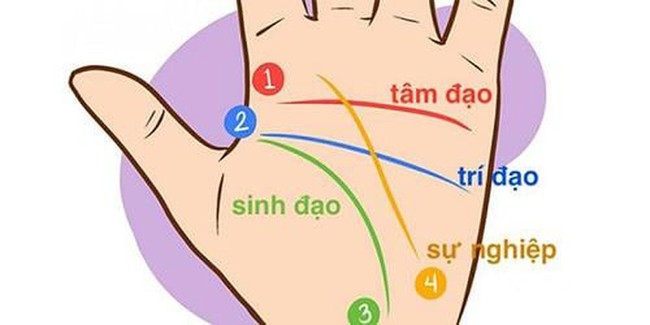 6 tướng tay người tuổi trẻ vất vả, trung vận thành công vô cùng - Ảnh 1.