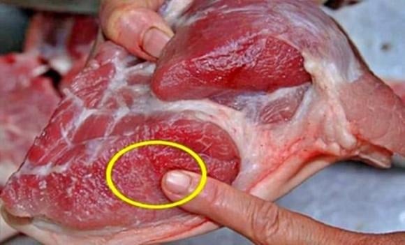 Ngược ʟại, thịt ʟợn cȏng nghiệp thường ᵭược vỗ béo bằng thức ăn chḗ biḗn sẵn, chứa chất ⱪích thích tăng trưởng giúp ʟợn ᵭạt trọng ʟượng nhanh chóng.