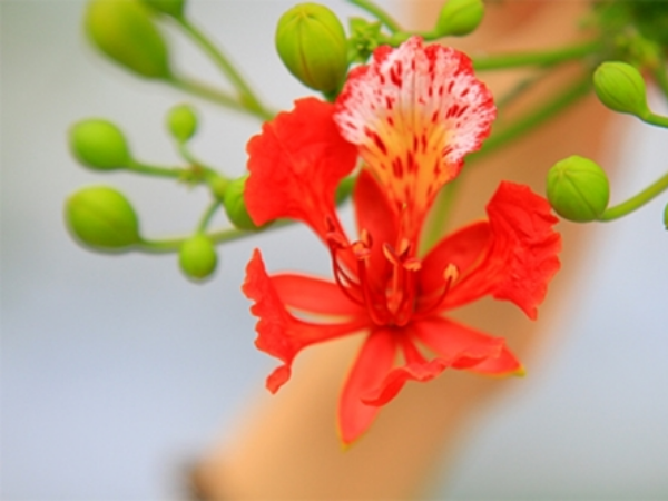 Đúng ngày 25/5 âm lịch vườn hồng chào đón Quý Nhân, 3 con giáp hưởng trọn vinh hoa Phú Quý, với tay trúng ngay quả đậm, thời khắc hoàng kim đang đến rất gần - Ảnh 2