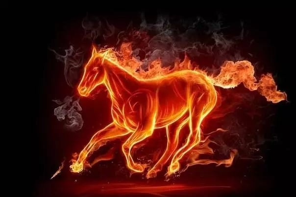 Tuổi Ngọ là con giáp năng động, có chí tiến thủ, nhưng nửa cuối tháng 7/2025 lại rơi vào vận xấu. Đại Hung nhập mệnh khiến bản mệnh dễ vướng vào thị phi, tranh cãi nơi công sở, chuyện nhỏ hóa lớn.    