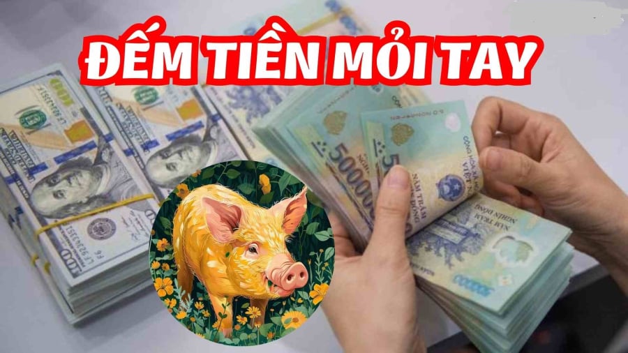 Tuổi Hợi may mắn trong thời gian tới