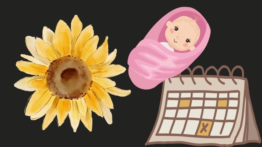 Có những ngày trong lịch âm được coi là “cát nhật”, ai may mắn sinh vào sẽ không chỉ có số phú quý mà còn mang phúc lộc đến cho cả gia đình. Ảnh minh họa