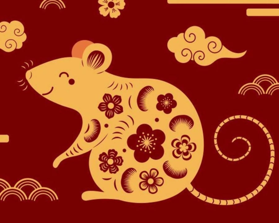 Tuổi Tý sự nghiệp khởi sắc, cơ hội thăng tiến rộng mở, khả năng tăng lương cao. Ảnh minh họa