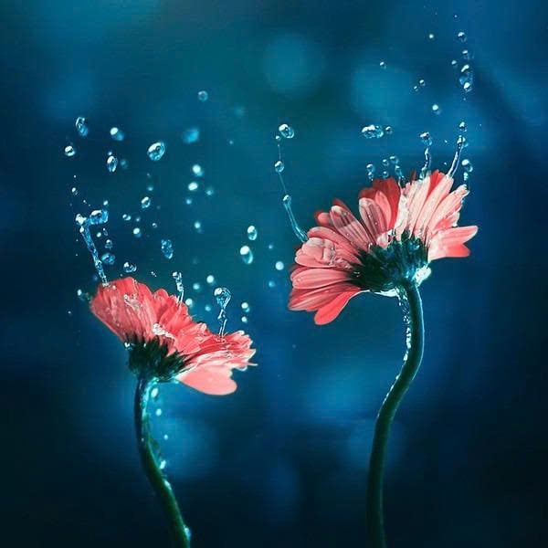 z7130295037475_3b5b1bf06629dc418e847b0c4b7259ac