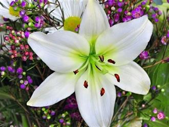 Đúng 49 ngày tới, 3 con giáp đổi vận bất ngờ nhờ Thần Tài trợ duyên, sự nghiệp hanh thông thành công ngoài mong đợi