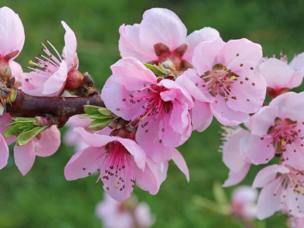 Chúc mừng 3 con giáp Thần Tài trợ lực, sự nghiệp thăng tiến như 'rồng cưỡi mây', vận may bạo phát, Tài Lộc chất đầy nhà trong 3 ngày tới - Ảnh 1