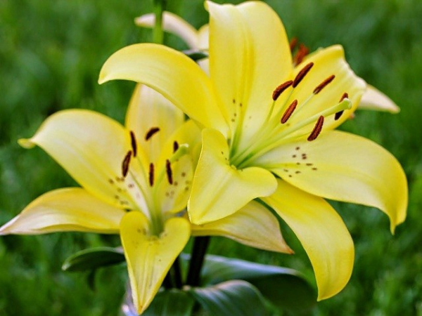 Chúc mừng 3 con giáp Thần Tài trợ lực, sự nghiệp thăng tiến như 'rồng cưỡi mây', vận may bạo phát, Tài Lộc chất đầy nhà trong 3 ngày tới - Ảnh 3