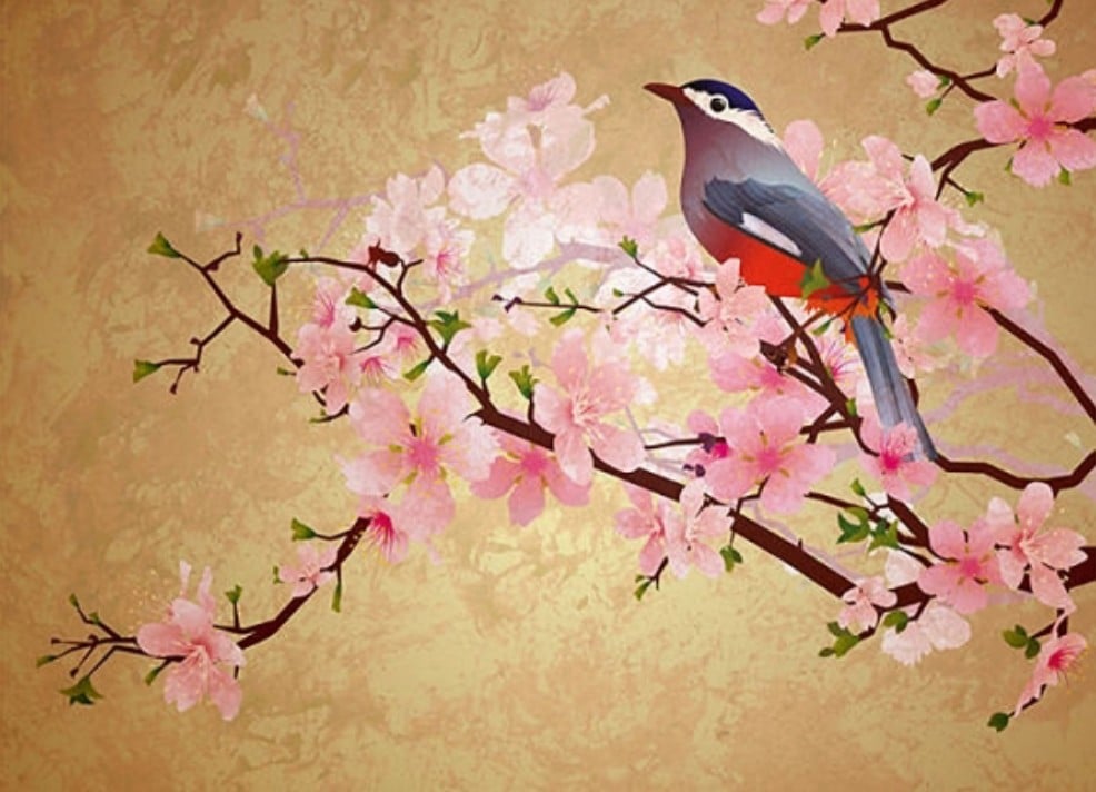 Xuân phân – tiết khí thứ 10 trong 24 tiết khí – đánh dấu thời điểm giữa mùa xuân, khi thiên nhiên bước vào giai đoạn sinh trưởng mạnh mẽ nhất. Ảnh minh họa