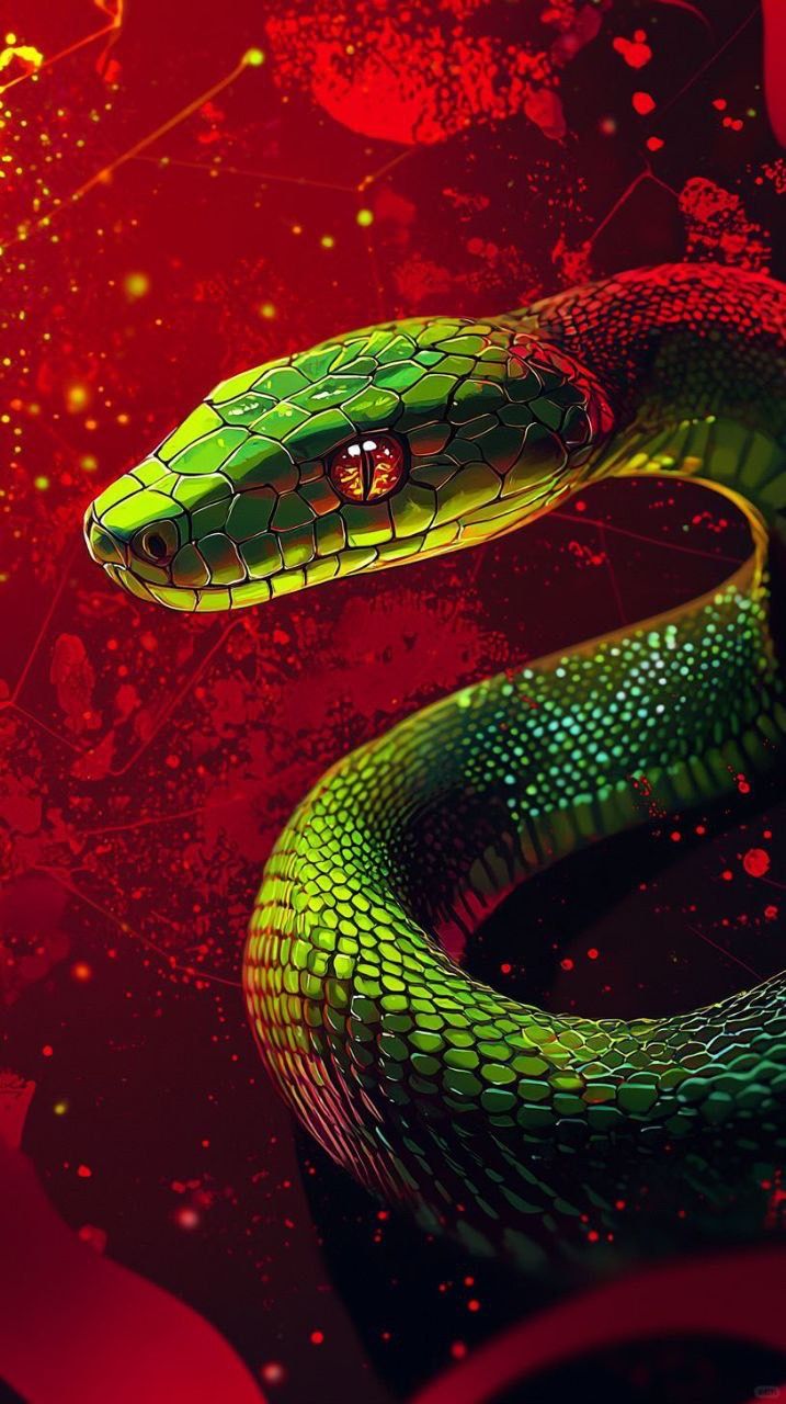 Tuổi Tỵ càng kiên trì càng có thêm cơ hội