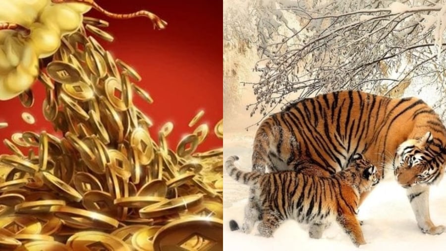 Đây được xem là cơ hội để người tuổi Dần thể hiện năng lực, gia tăng khả năng được cấp trên ghi nhận, mở ra triển vọng thăng tiến. Ảnh minh họa