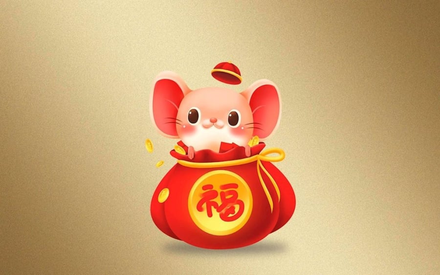 Người tuổi Tý vốn thông minh, nhanh nhạy và có khả năng thích nghi tốt với mọi hoàn cảnh. Tuy nhiên, trước đây họ có thể gặp không ít khó khăn về tài chính, làm nhiều nhưng tích lũy chẳng được bao nhiêu.    